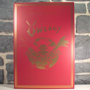 Owlboy Edition Collector (06)